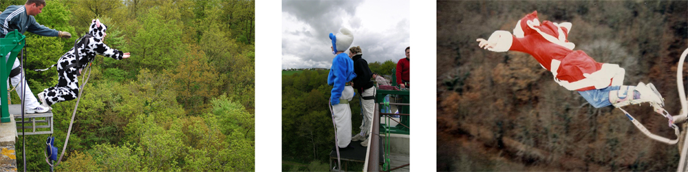 journée a theme saut elastique